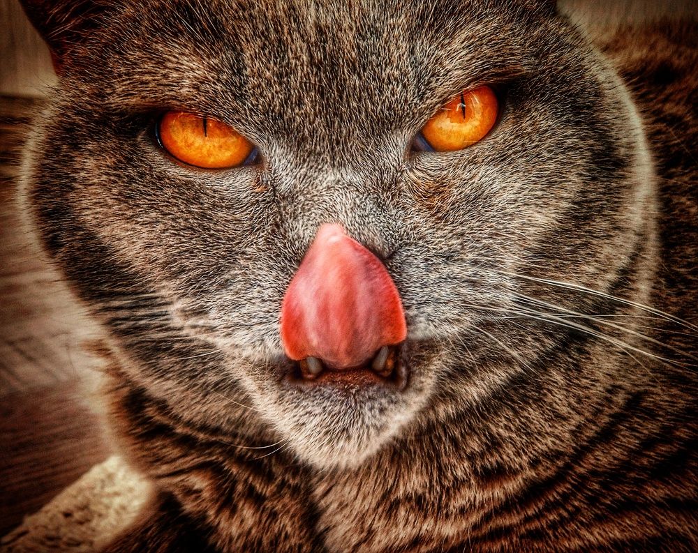 Фотография автора Валерия