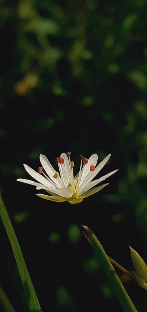 Photograph by Евгения Ульянова