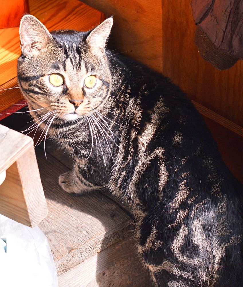 Photograph by Natalia Kopeva