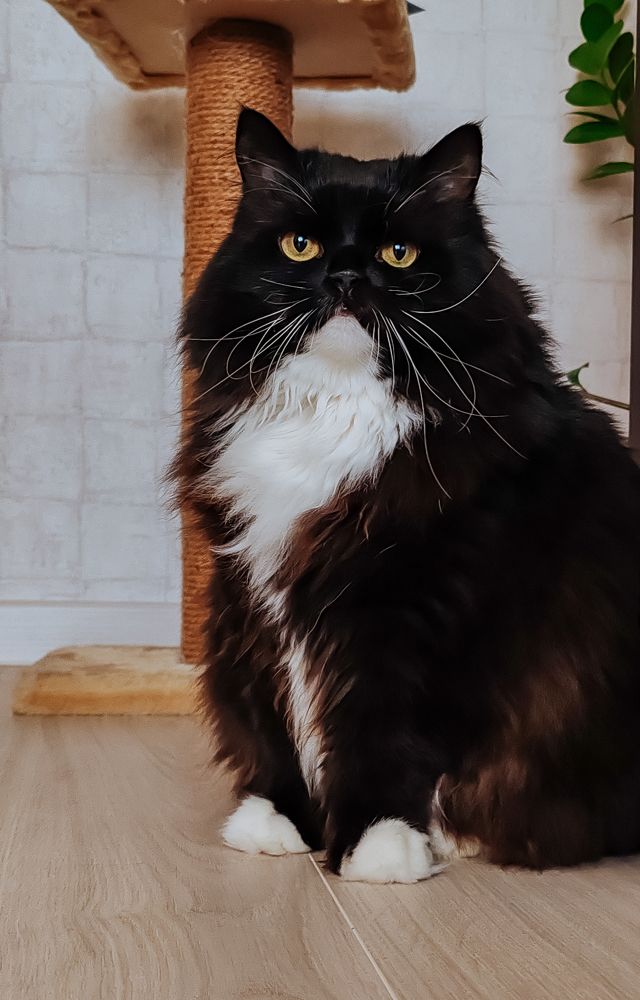 Фотография автора Любовь