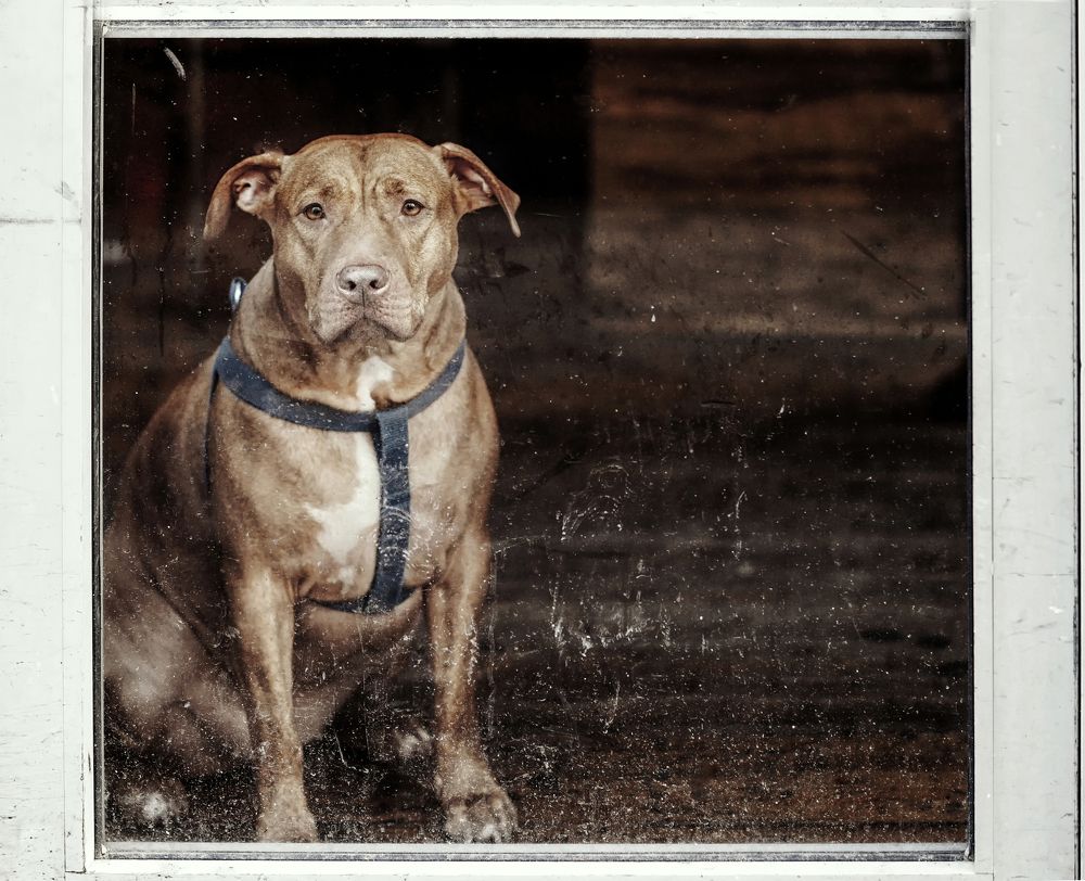 Photograph by Akexey Balen