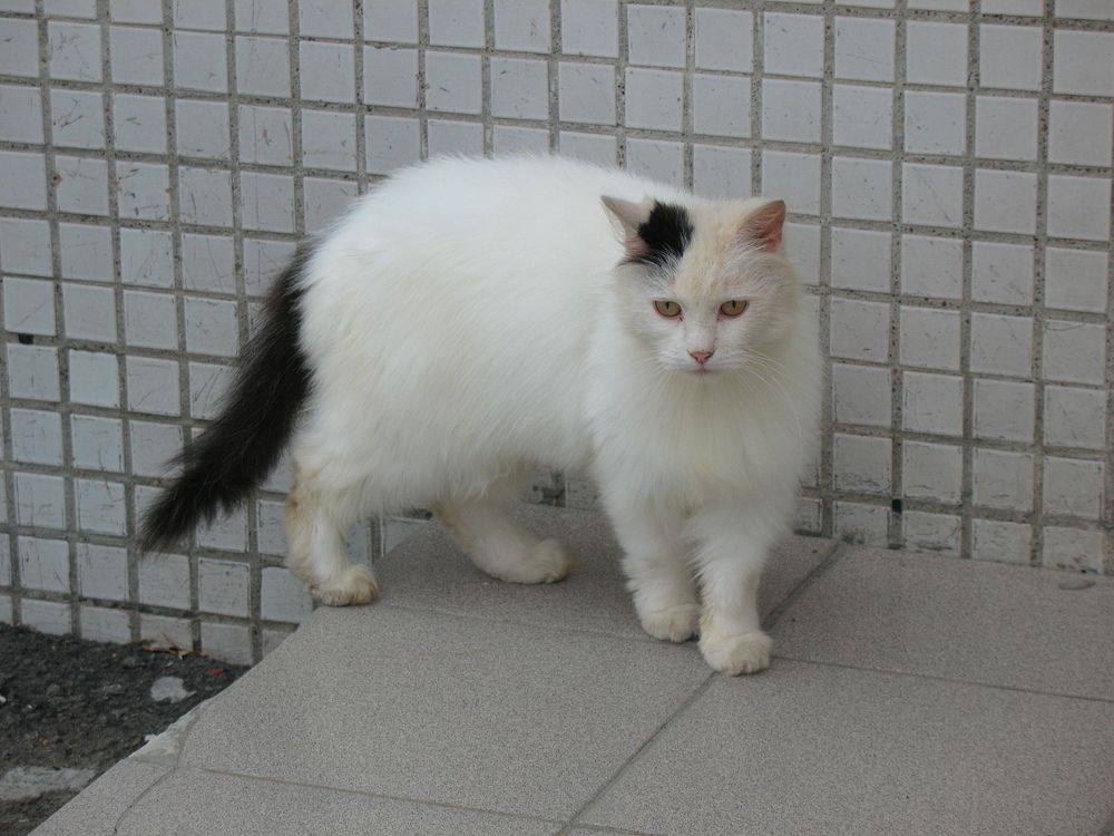 Photograph by Владимир