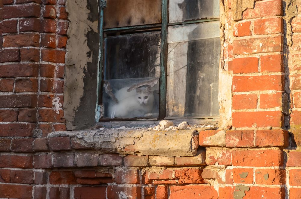 Photograph by Сергей