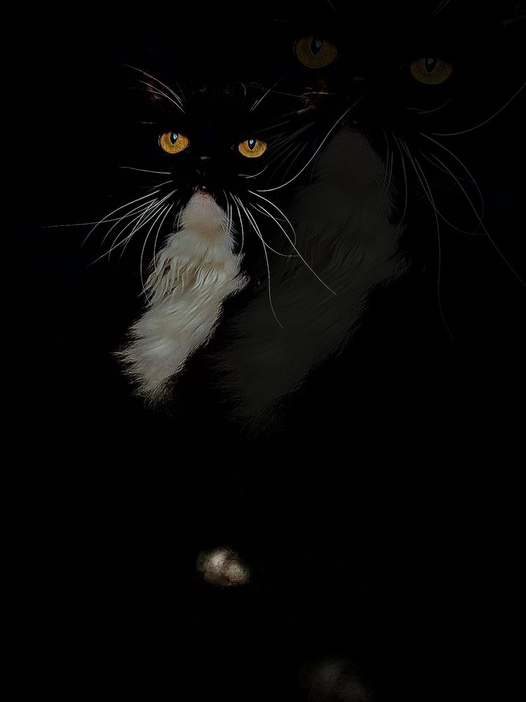 Фотография автора Любовь