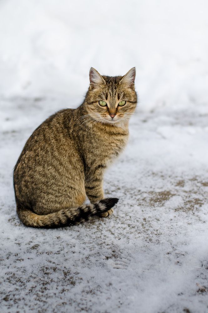 Photograph by Сергей