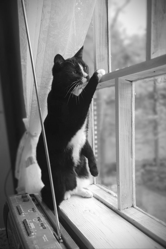 Photograph by Людмила Прокофьева