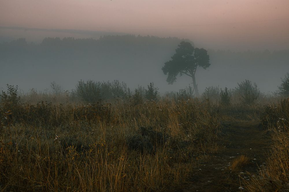 Photograph by Дмитрий Бровко