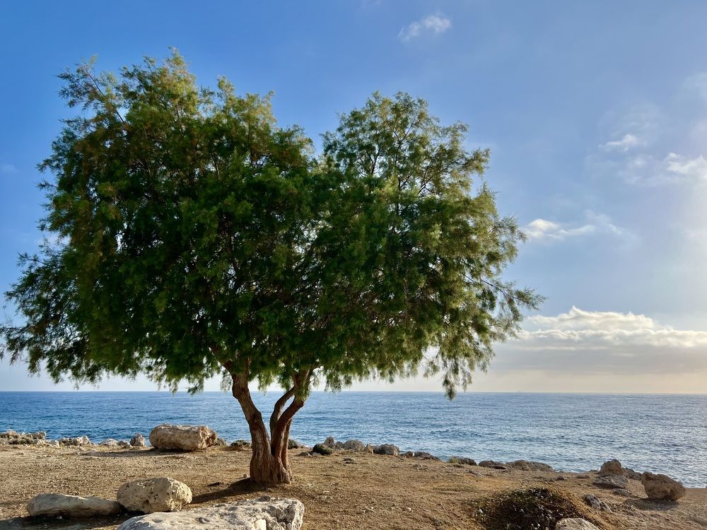 Photograph by Шестакова Наталья