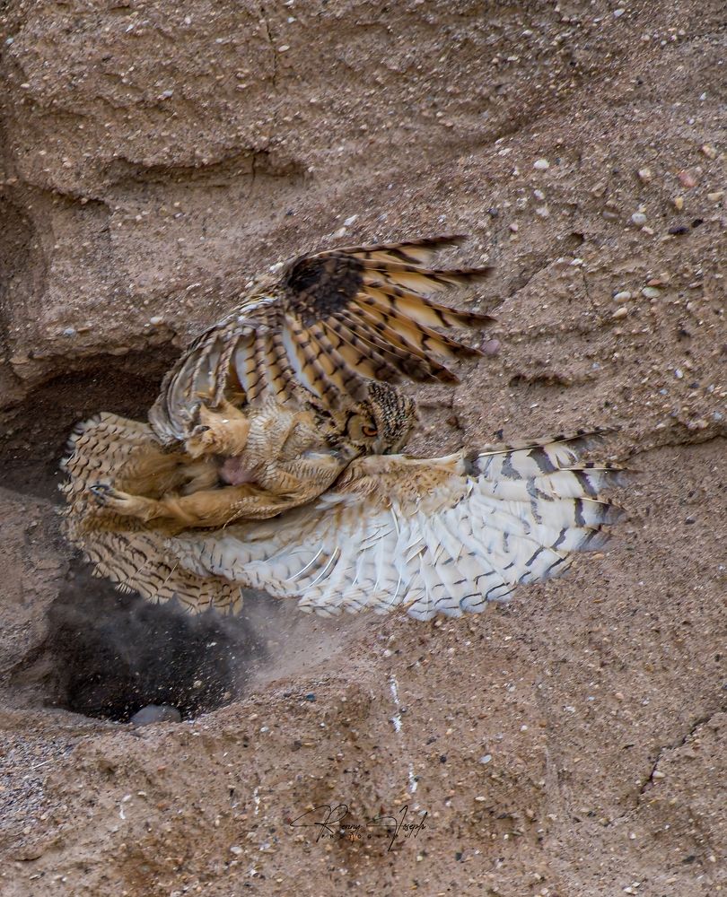 Photograph by Renny Joseph