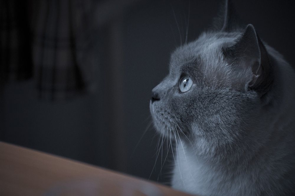 Photograph by Alyona Popova