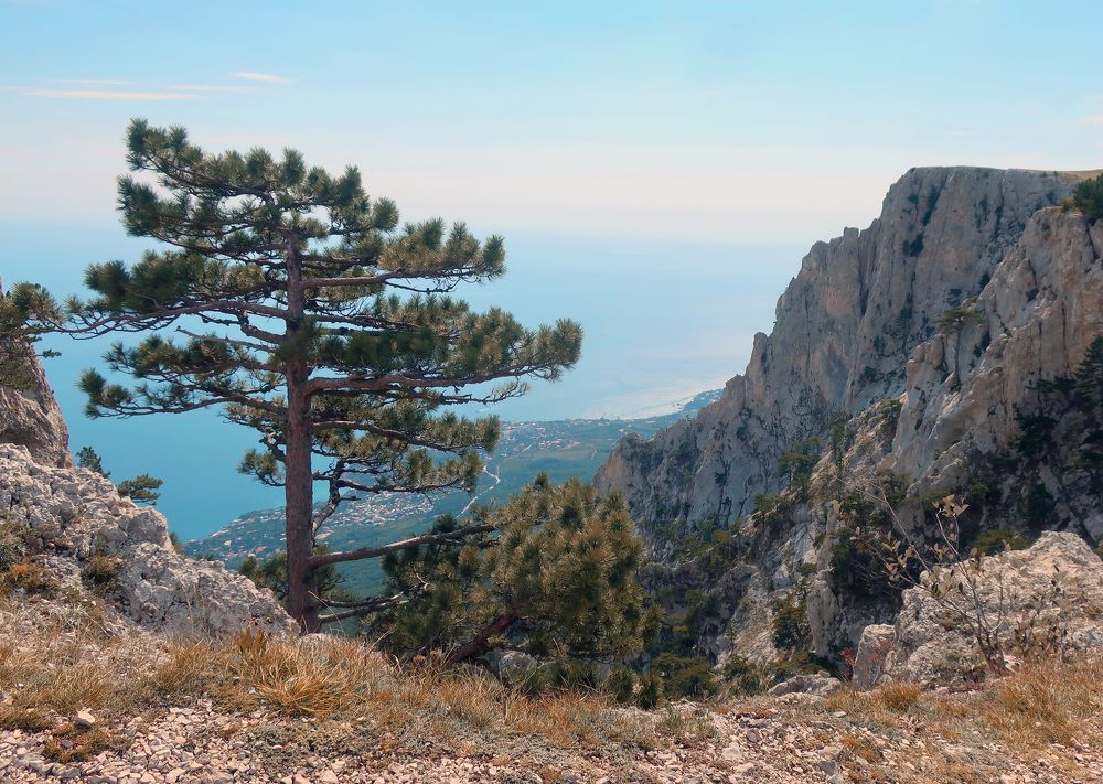 Photograph by Ольга Стоун