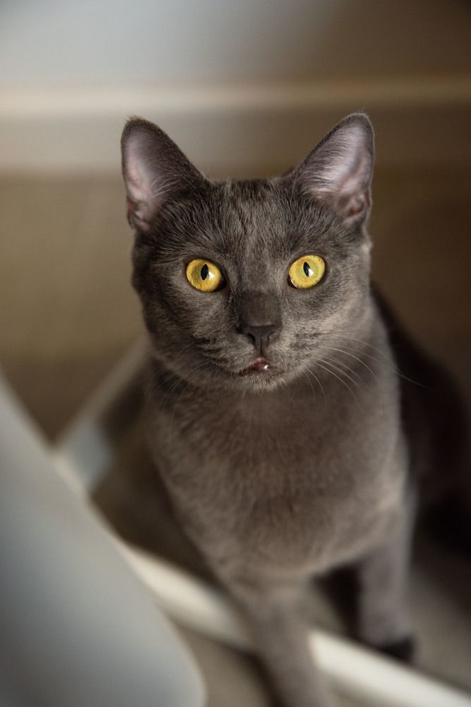 Photograph by Ira Wind