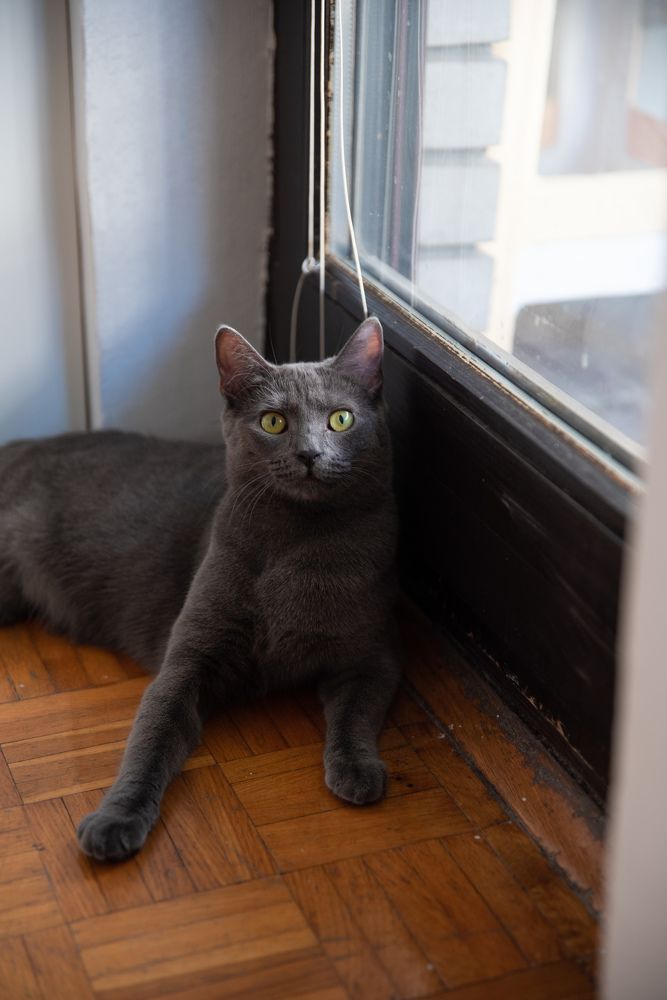 Photograph by Ira Wind