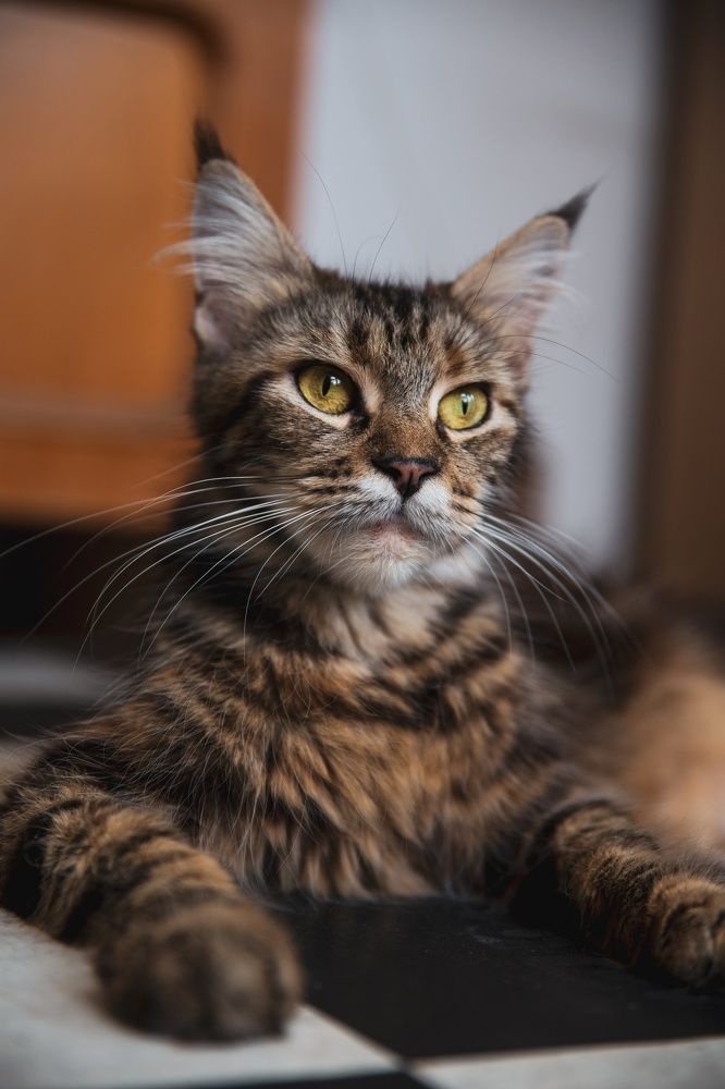 Photograph by Марина Данилова