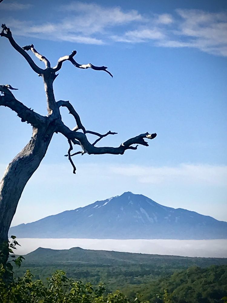 Photograph by Алексей Шаскольский