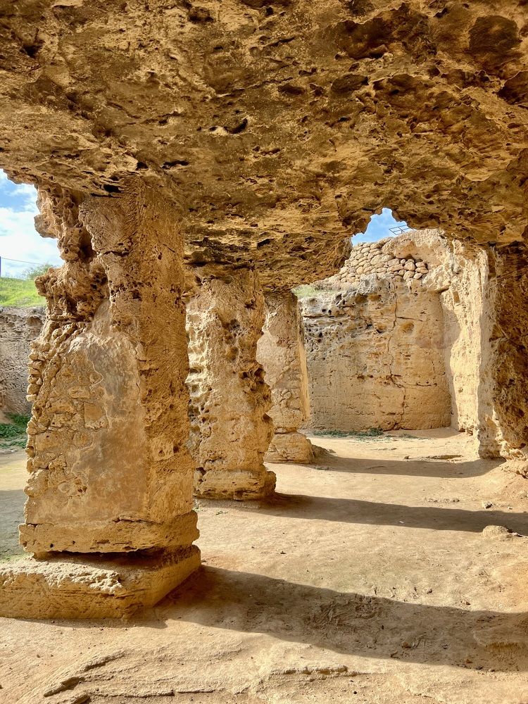 Photograph by Шестакова Наталья