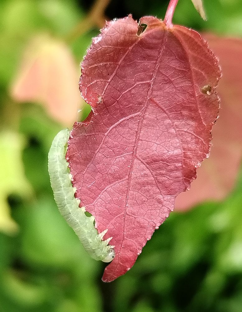 Photograph by Татьяна