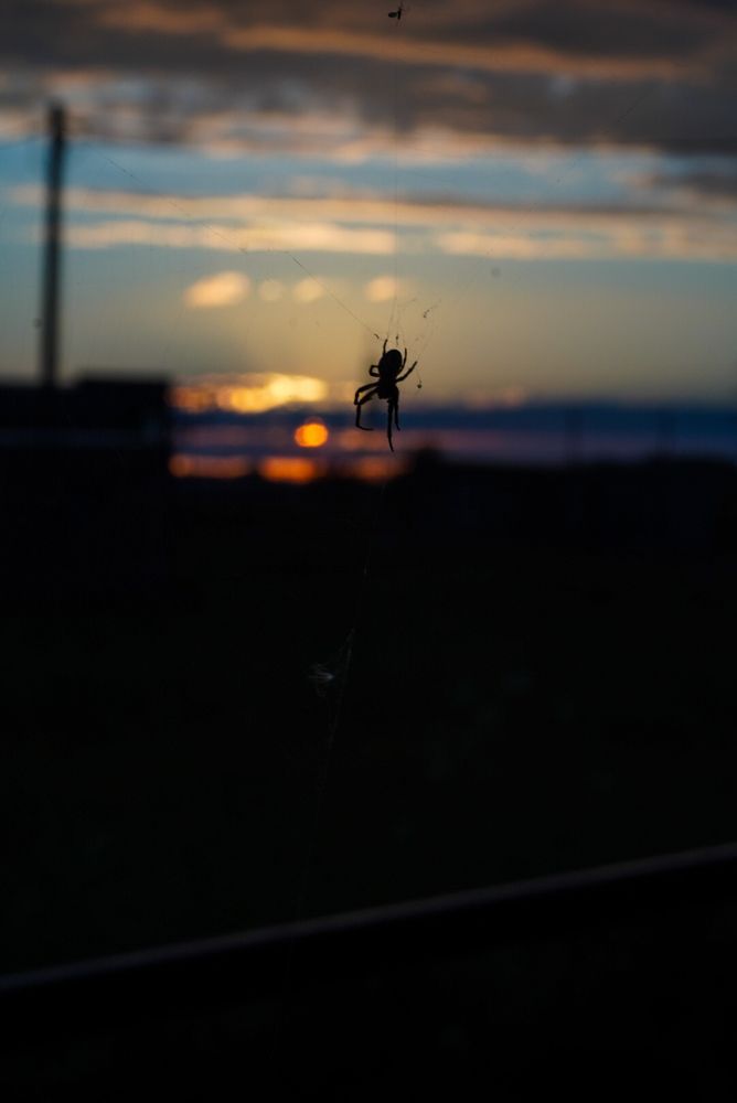 Photograph by Константин Обухов