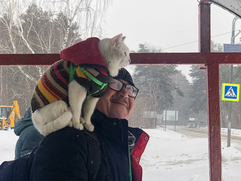 Фотография автора Ольга Лихтарь