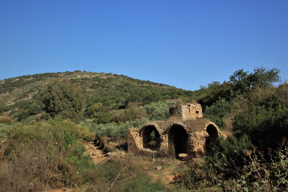 Photograph by Людмила Бутова