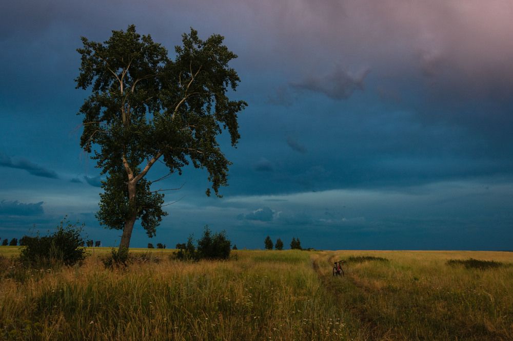 Photograph by Наталия Брянцева