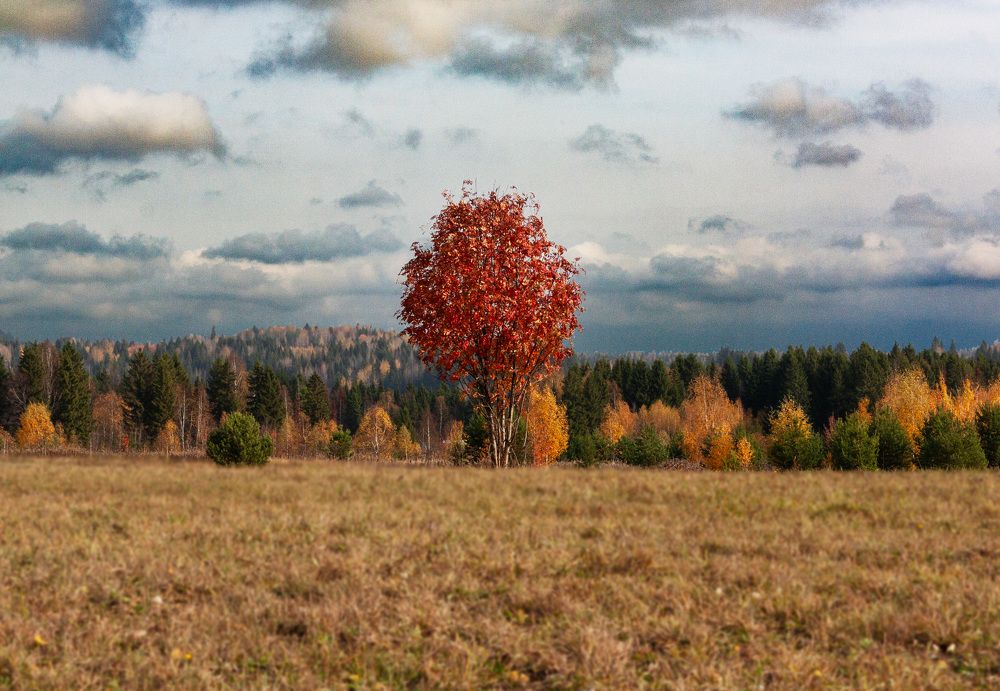 Photograph by Дмитрий Кузнецов