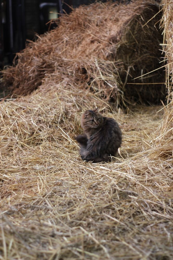 Photograph by Наталья Кукова