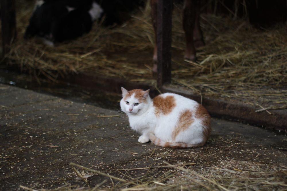 Photograph by Наталья Кукова