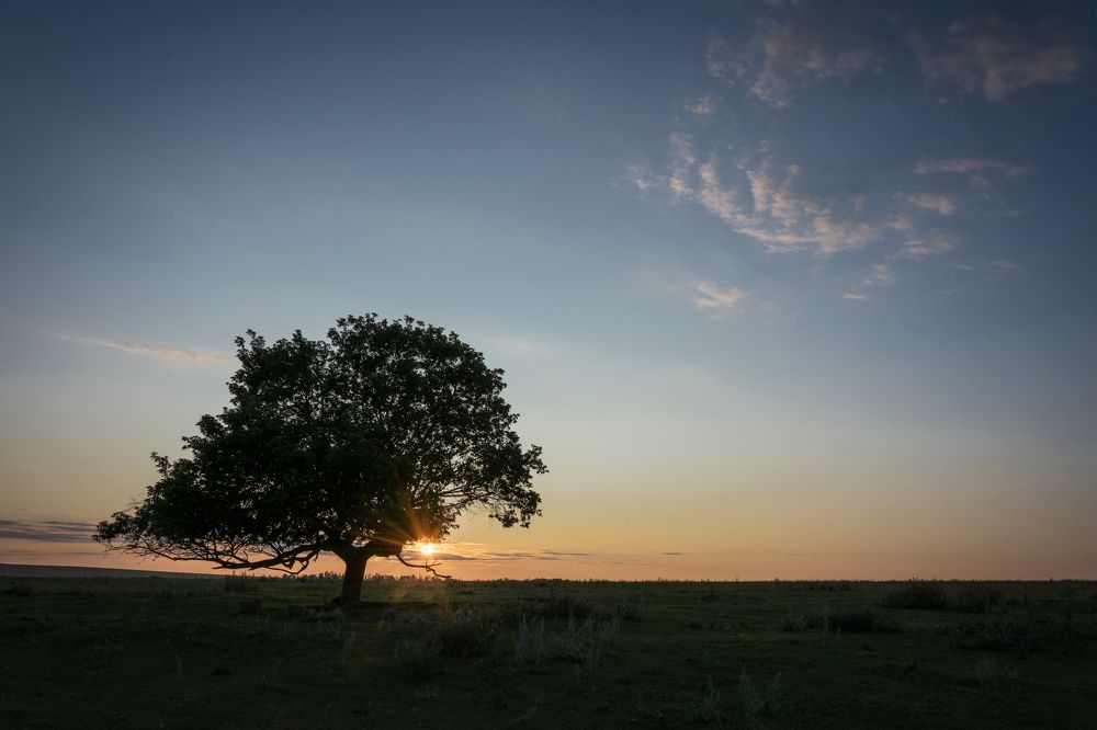 Photograph by Наталия Брянцева