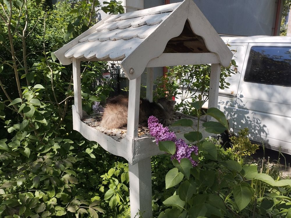 Photograph by Софья Белоногова