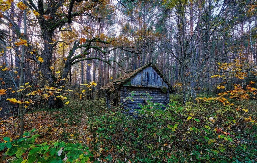 Photograph by Александр Алифанов