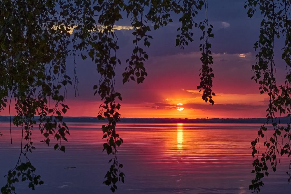 Photograph by Татьяна Полянская