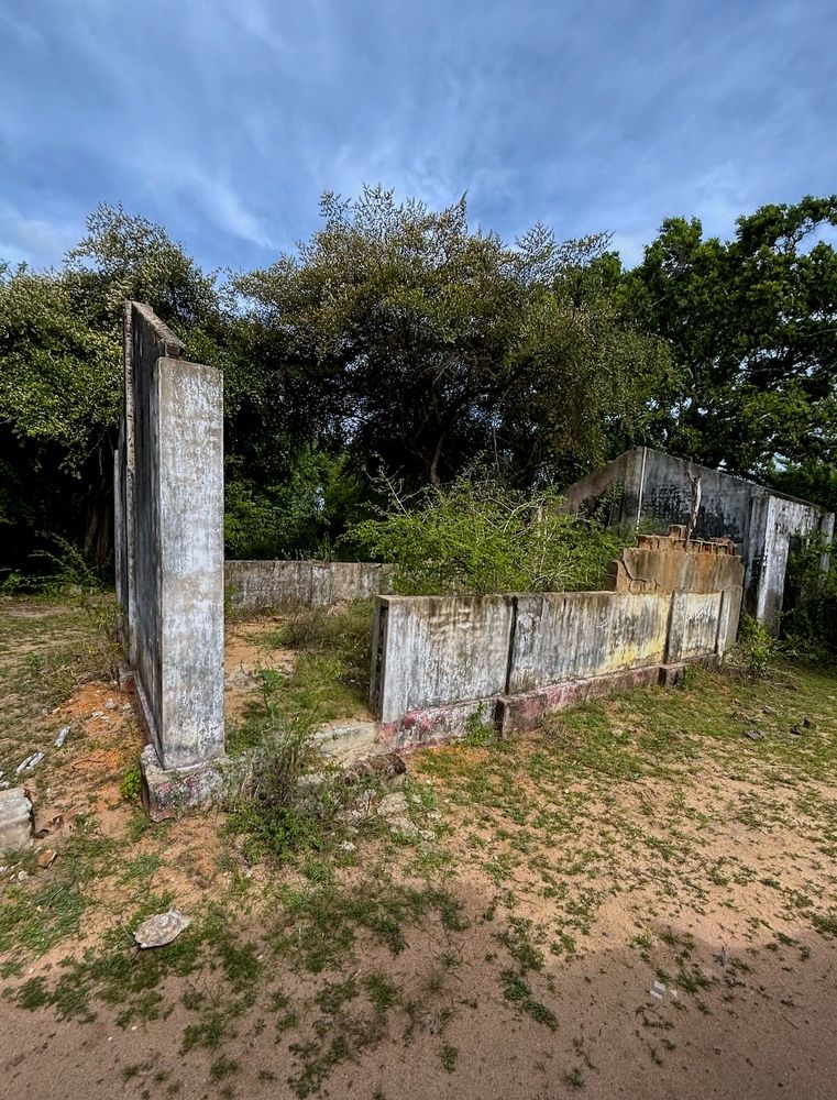 Photograph by HEMAMALI GUNASEKARA