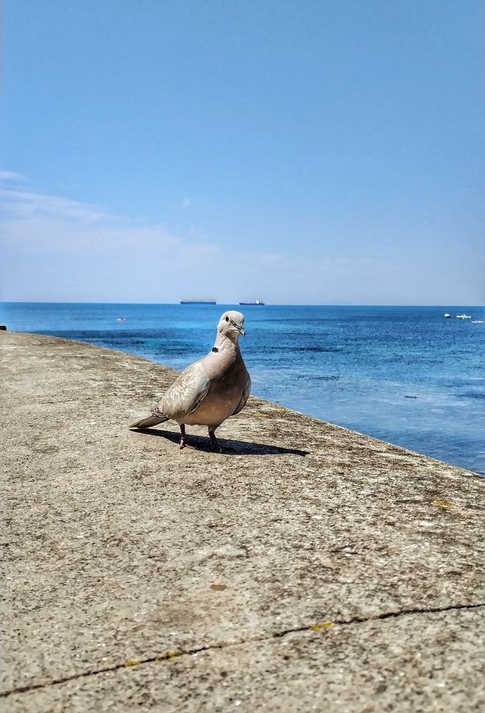 Photograph by Елена Егорова