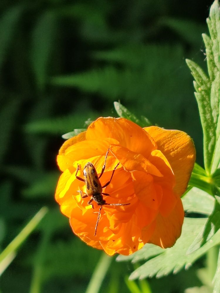 Photograph by Наталья Круглова