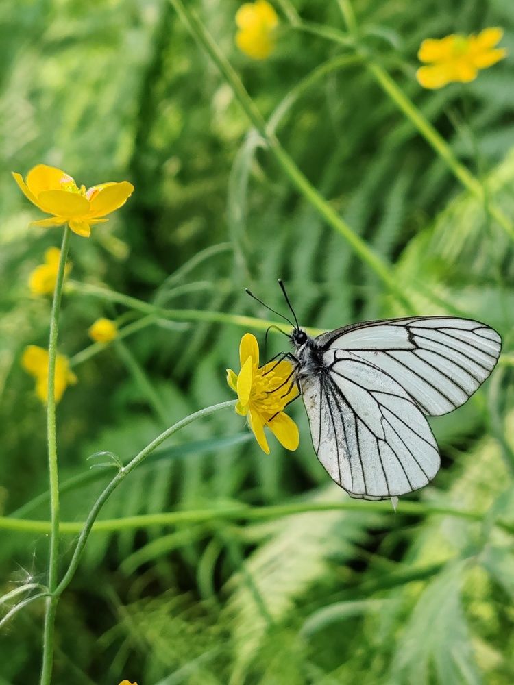 Photograph by Наталья Круглова