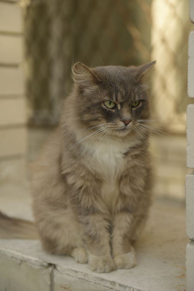 Photograph by Sergey Bazovoy