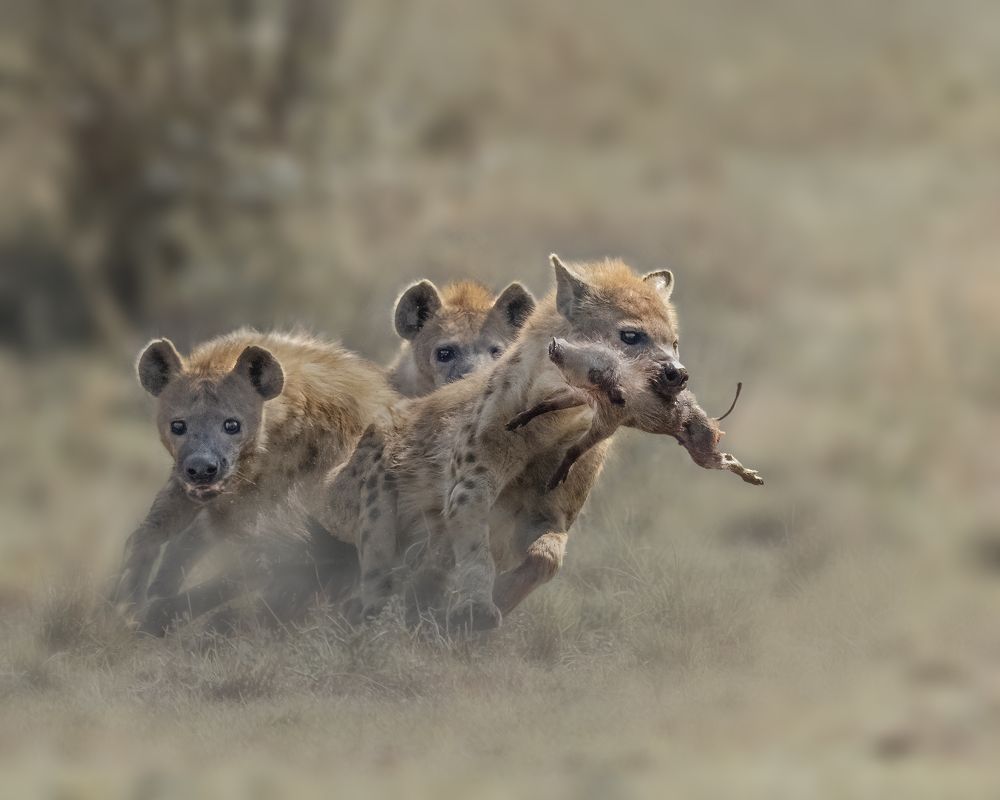 Photograph by Joshy Varghese