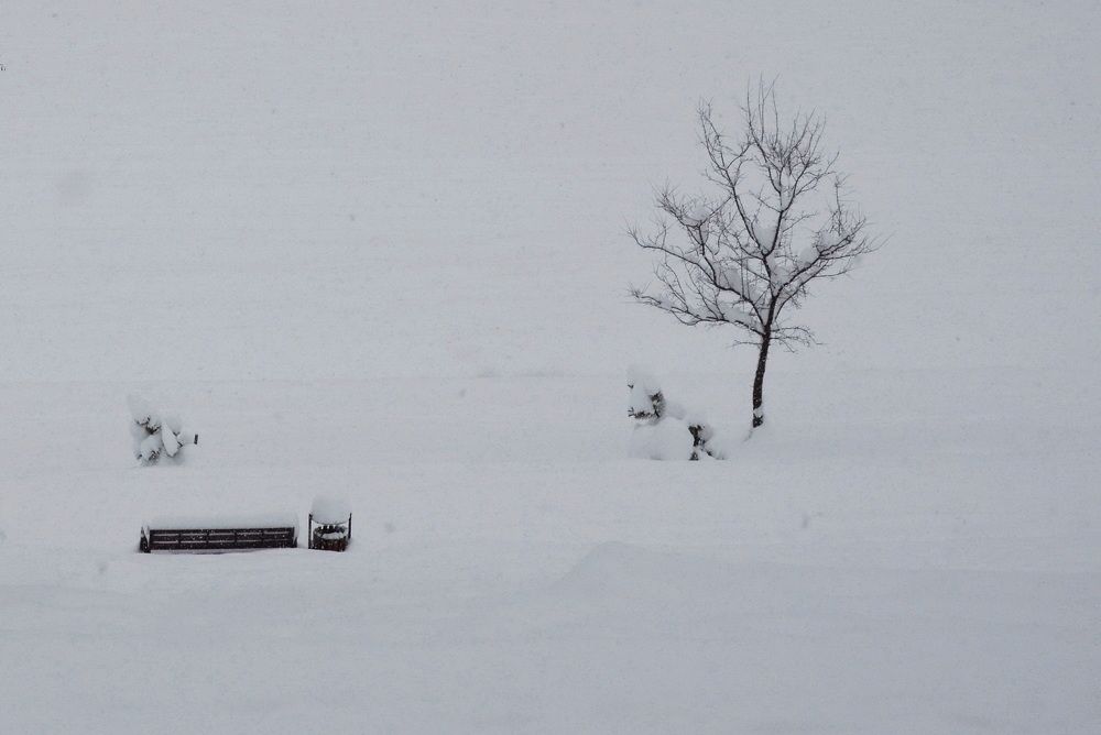 Photograph by  Владимир