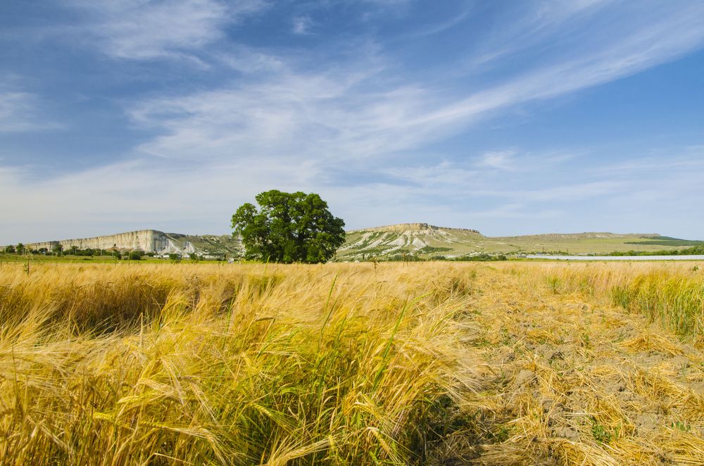 Photograph by Юрий Юрченко