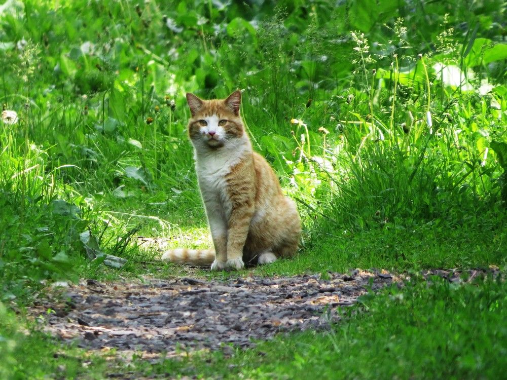 Photograph by Лариса Басова