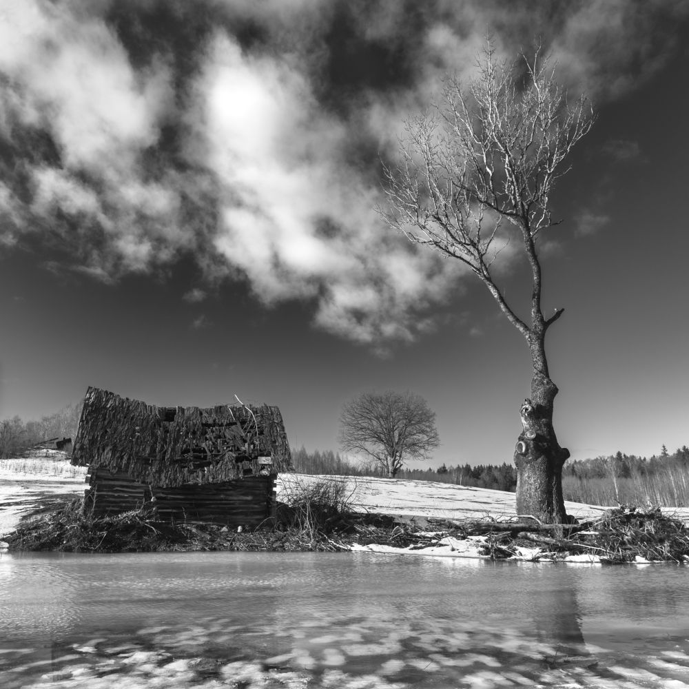 Photograph by Ivars Skudra