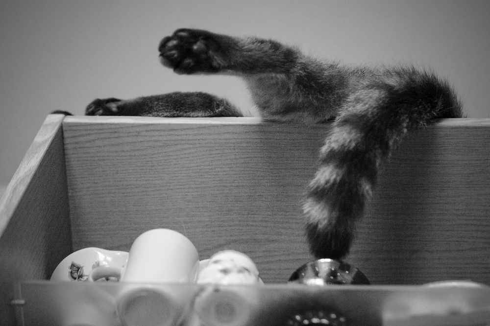 Photograph by Alexander Popoff