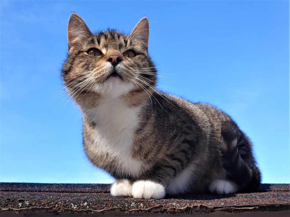 Photograph by Marie G