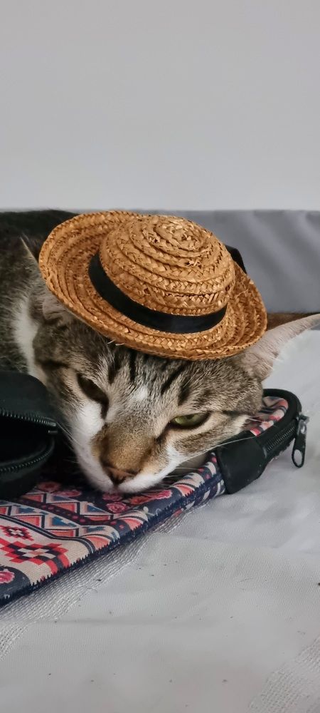 Photograph by Marie G