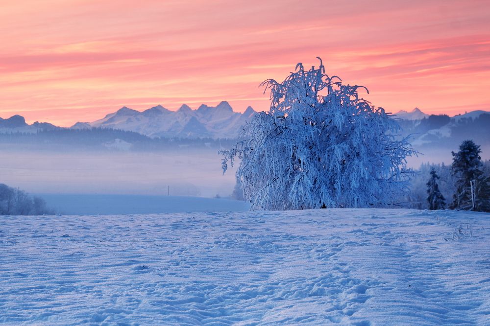 Photograph by Wymann Elena