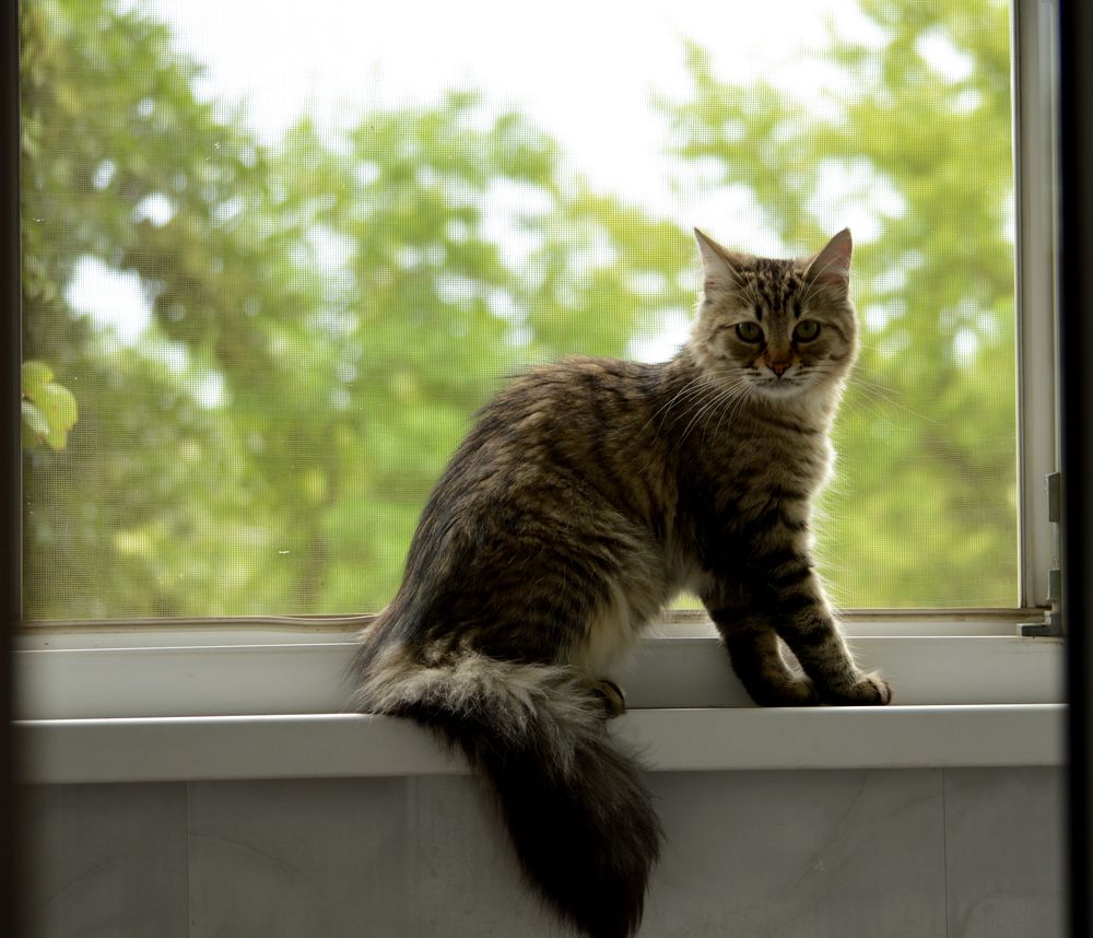 Photograph by Андрей Соколов