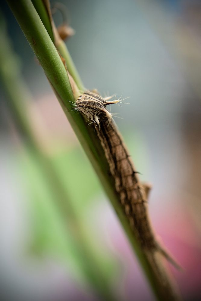 Photograph by luciana zapatero