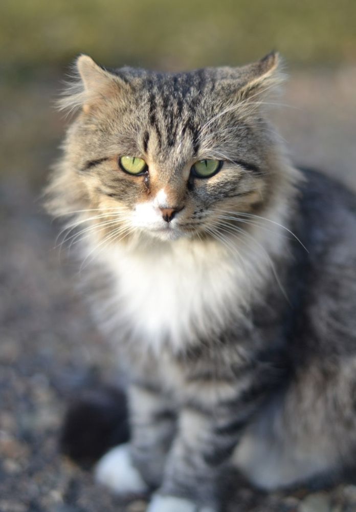 Photograph by Виорика Фоменко