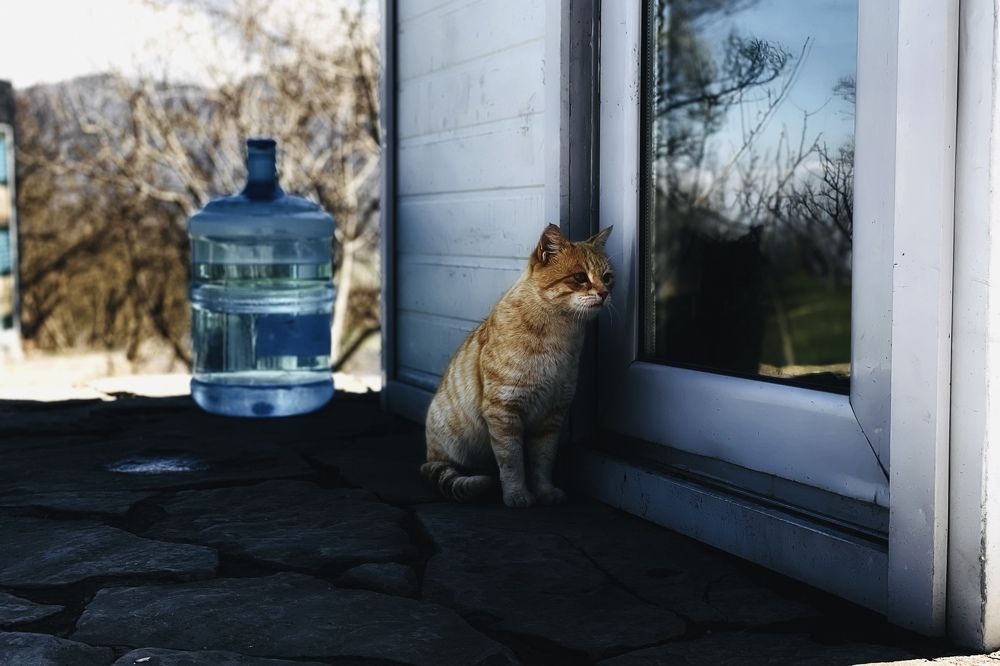 Photograph by Askar Kashapov